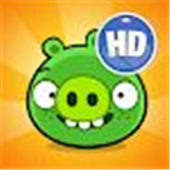 Bad Piggies