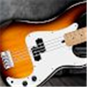 Real Bass electric bass guitar