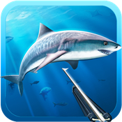 Hunter underwater spearfishing
