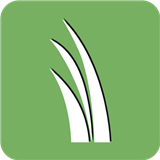 Yard Mastery: DIY Lawn Care