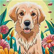 Cross Stitch:Craft & Art