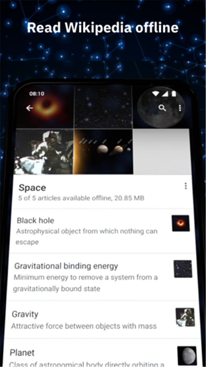 Wikipedia screenshot2