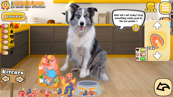 Fruwee Pets Real Dog Simulator screenshot2