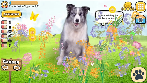 Fruwee Pets Real Dog Simulator screenshot4
