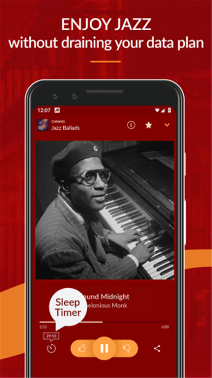 JAZZ MUSIC RADIO screenshot3
