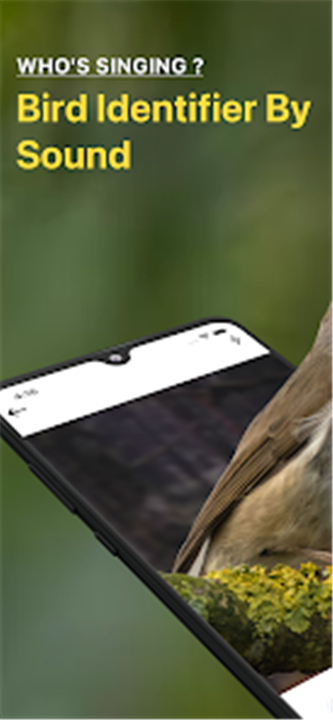 Bird Sound Identifier Bird ID screenshot1