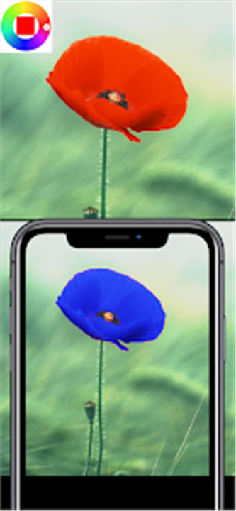 Color Changing Camera screenshot6