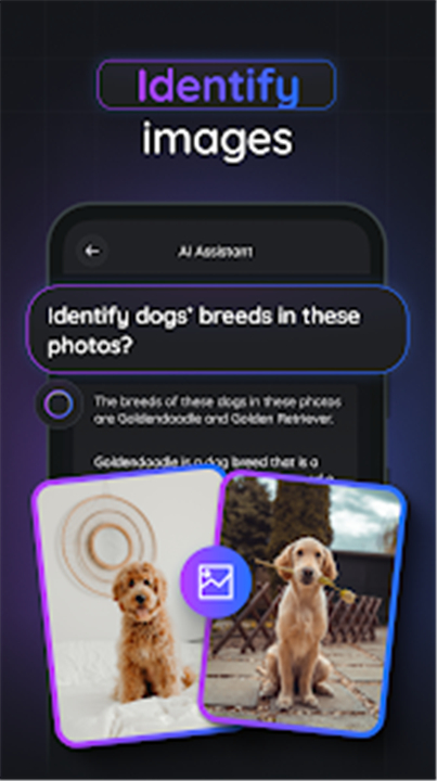 Gemmy AI: Chat & Assistant screenshot5
