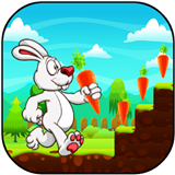 Bunny Run