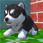 Cute Pocket Puppy 3D