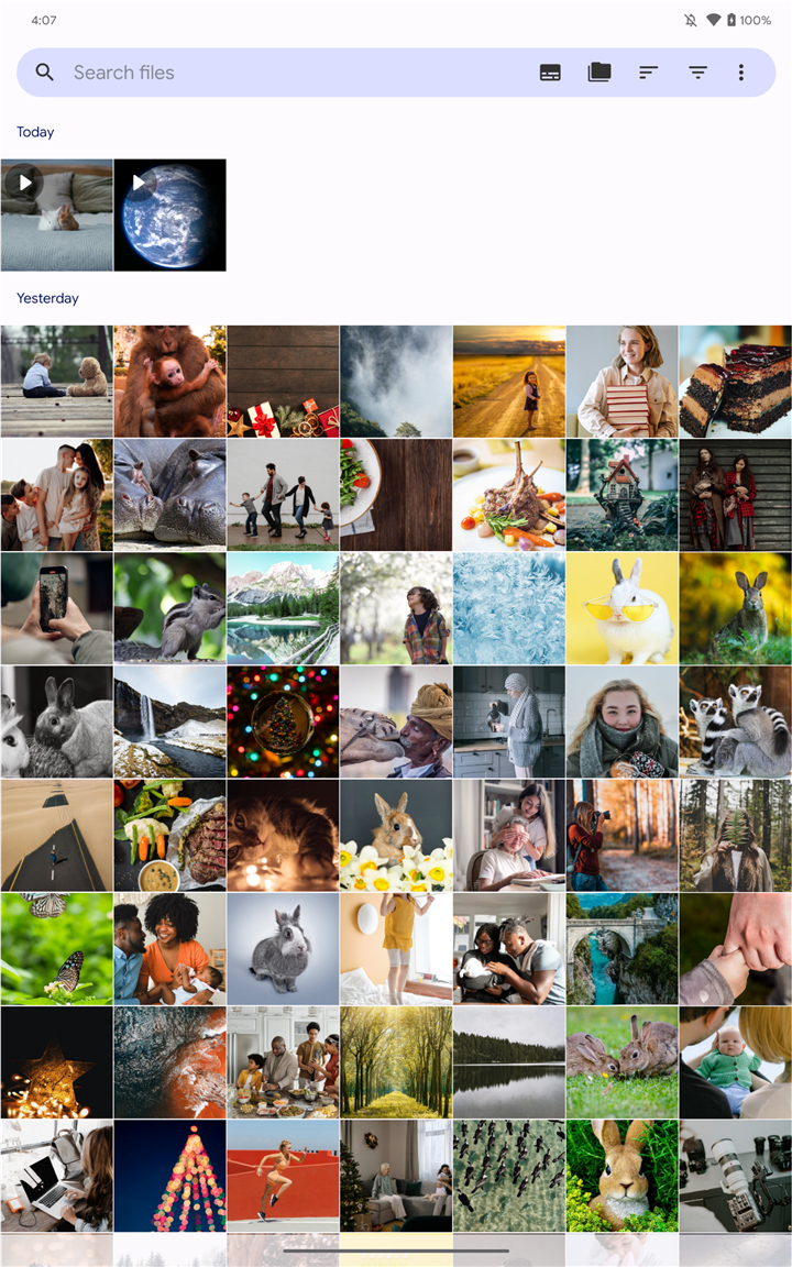 Fossify Gallery screenshot8