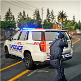 US Police Car Chase: Cop Games