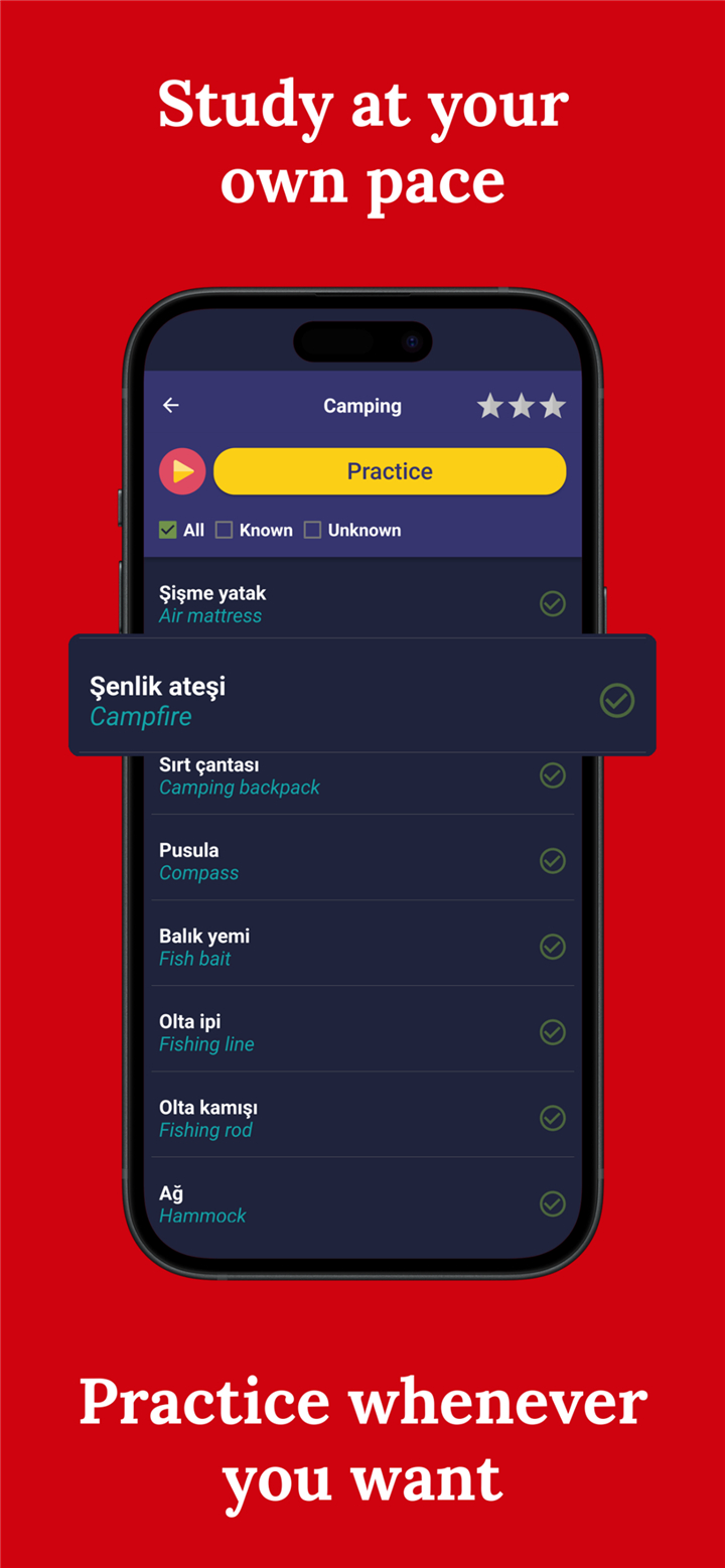 Learn Turkish - Beginners screenshot3