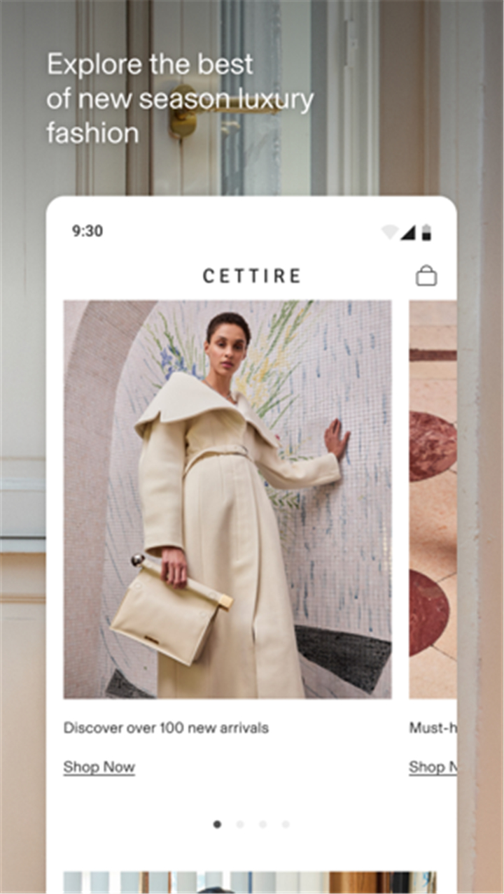 CETTIRE screenshot2