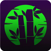 Bamboo VPN