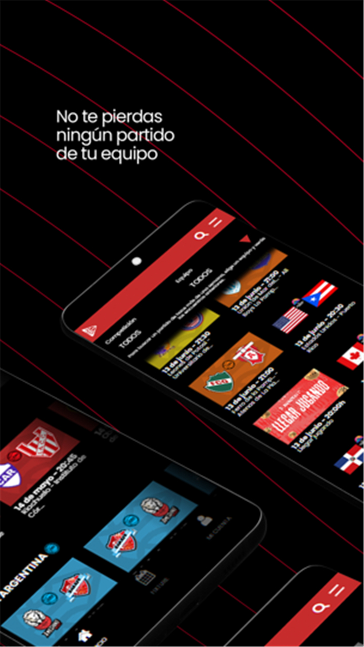 Basquet Pass screenshot2