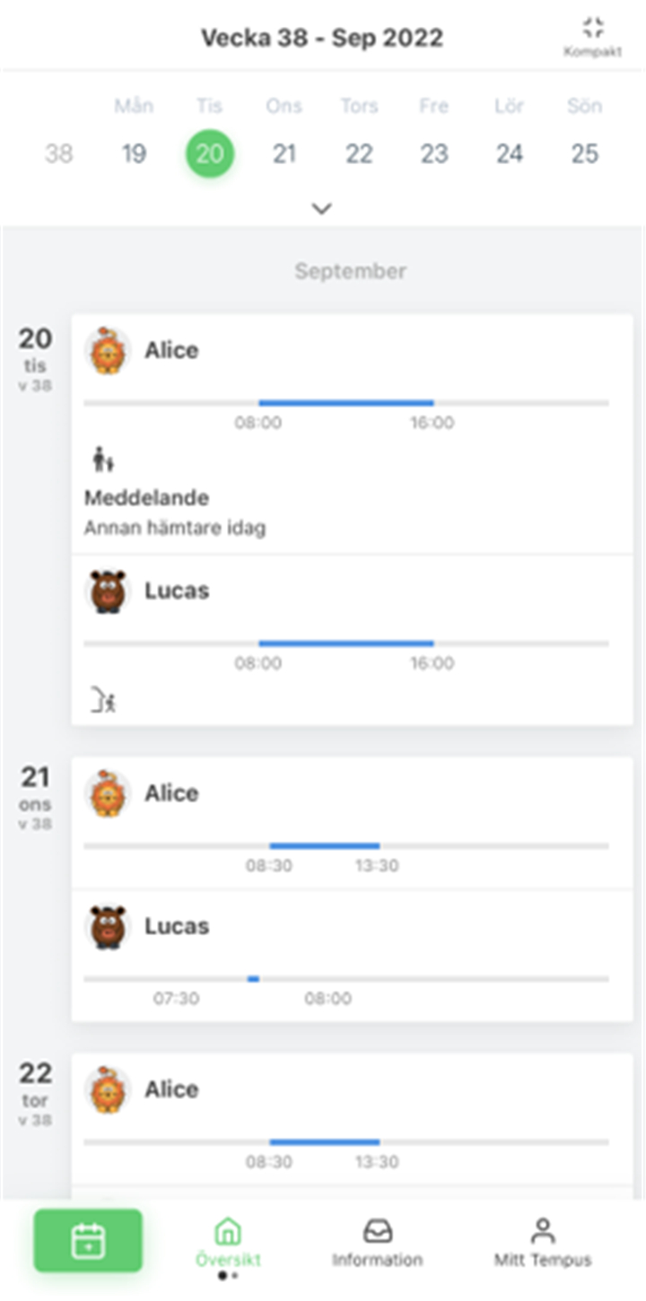 Tempus Hemma screenshot1