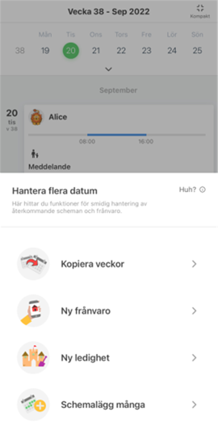 Tempus Hemma screenshot2
