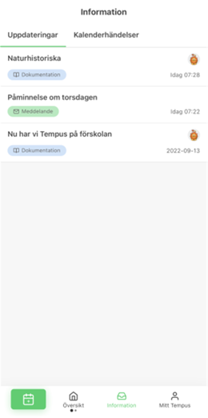 Tempus Hemma screenshot4
