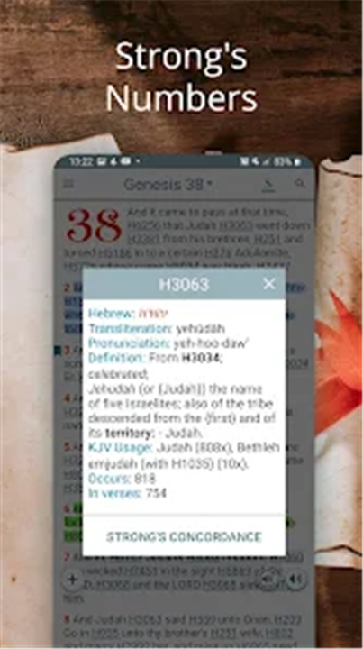 Bible Concordance & Strongs screenshot3