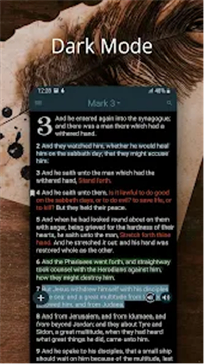 Bible Concordance & Strongs screenshot8