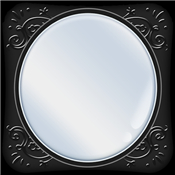 Mirror - Zoom & Exposure -