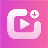 DownvidPro