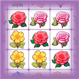 Dreamy Garden - Blossom Match