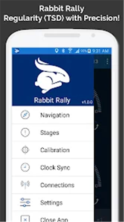 Rabbit Rally 2.0 screenshot1
