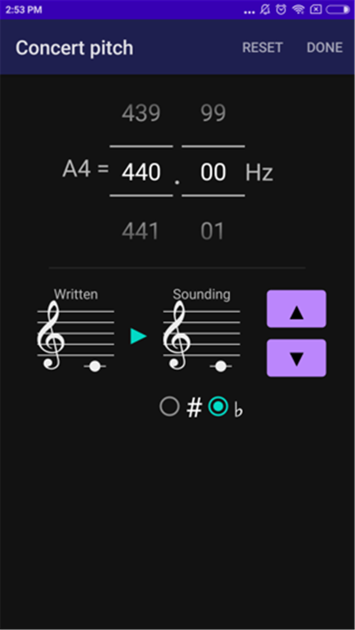 CarlTune - Chromatic Tuner screenshot4