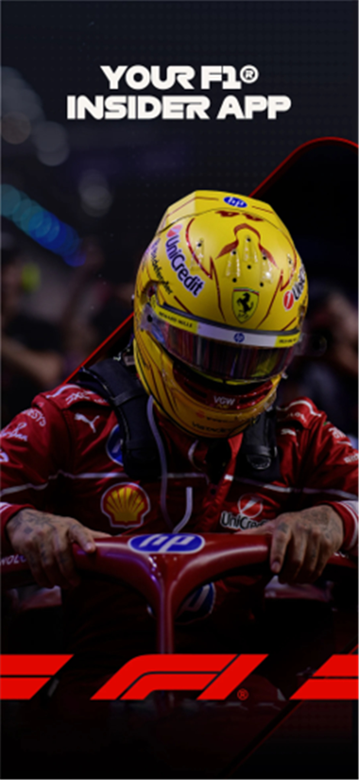 Formula 1® screenshot1