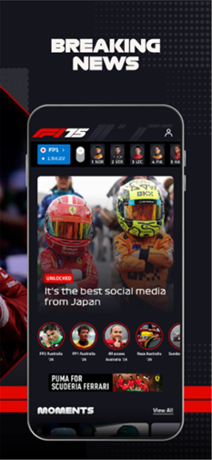 Formula 1® screenshot4