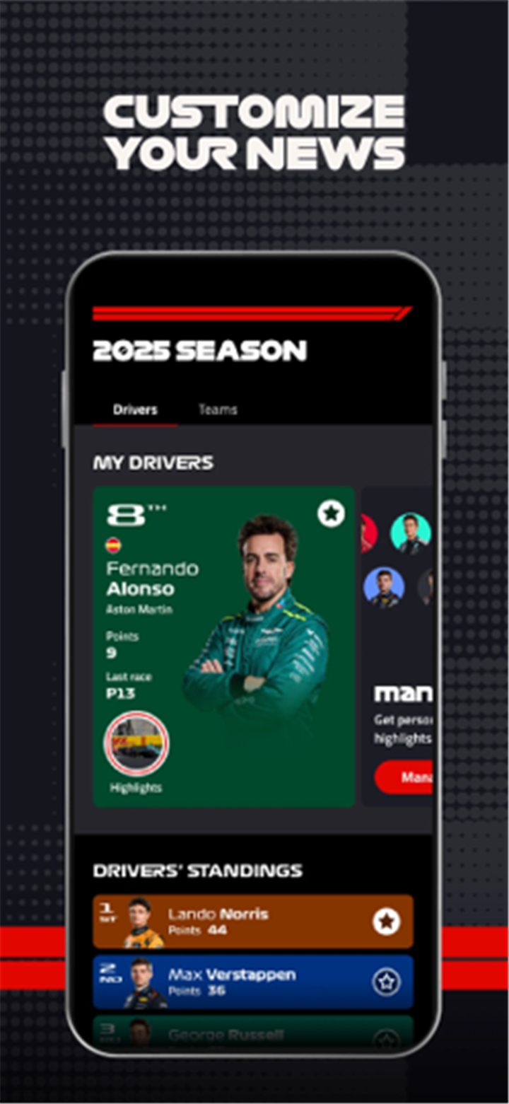 Formula 1® screenshot7