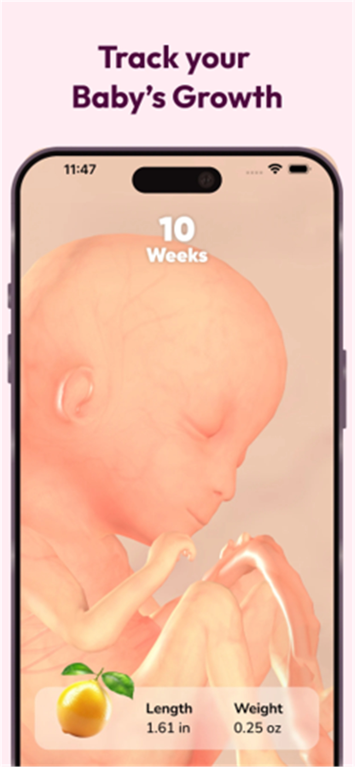 WeMoms Pregnancy Baby Tracker screenshot2