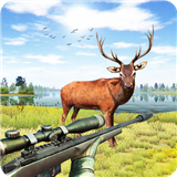 Forest Animal Hunting Games