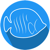 AQUAStore - Online Aquarium an