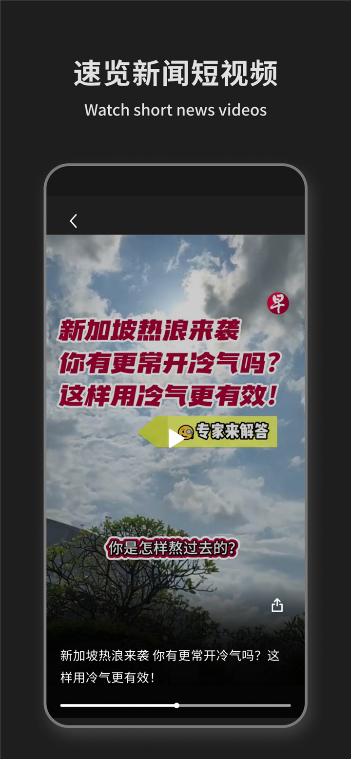 Lianhe Zaobao: News in Chinese screenshot2
