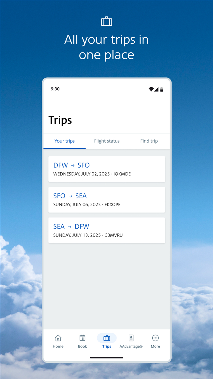 American Airlines screenshot4
