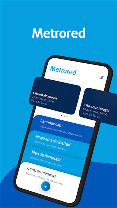 Metrored screenshot1