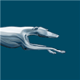 Greyhound: Buy Bus Tickets