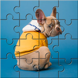 Jigsaw HD: Puzzle Piece