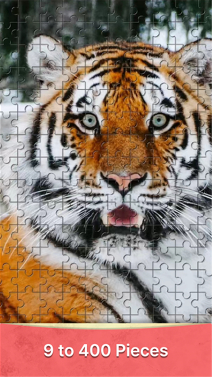 Jigsaw HD: Puzzle Piece screenshot3