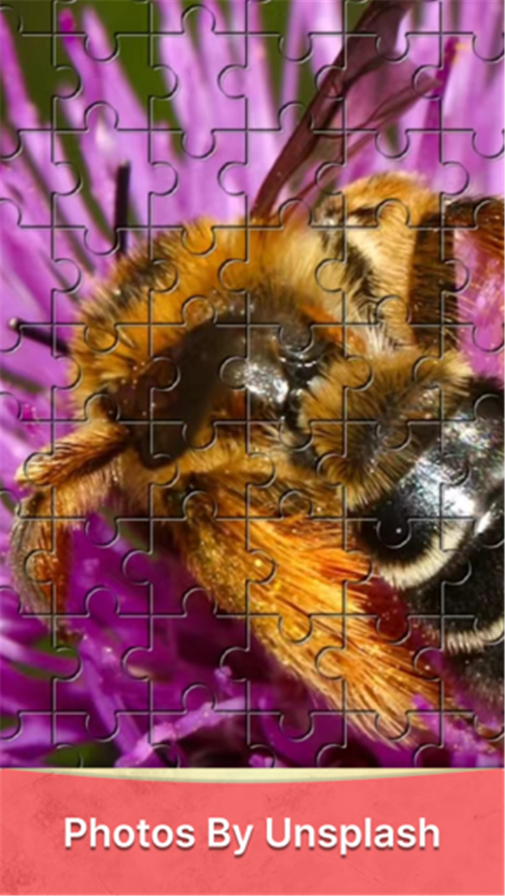 Jigsaw HD: Puzzle Piece screenshot5