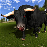Angry Bull Attack - Bull Fight