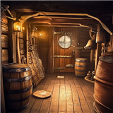 Pirate Escape: Can You Escape?