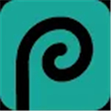 Photopea:free photo editor