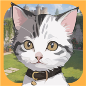 Cat and Seek - Find the Cats
