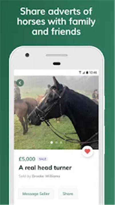 Whickr Buying & Selling Horses screenshot4