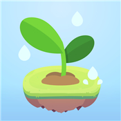 Focus Plant