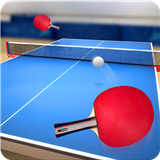 Table Tennis Touch